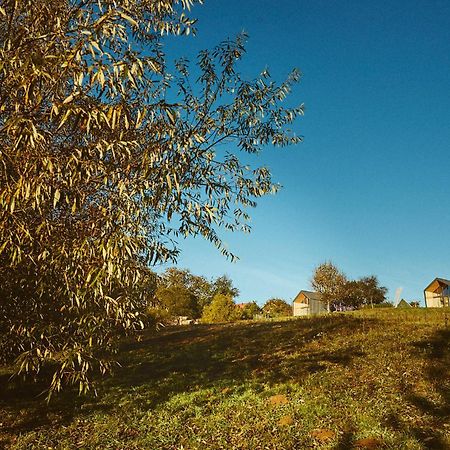 Scandinave Chalet Bran Zărneşti Buitenkant foto
