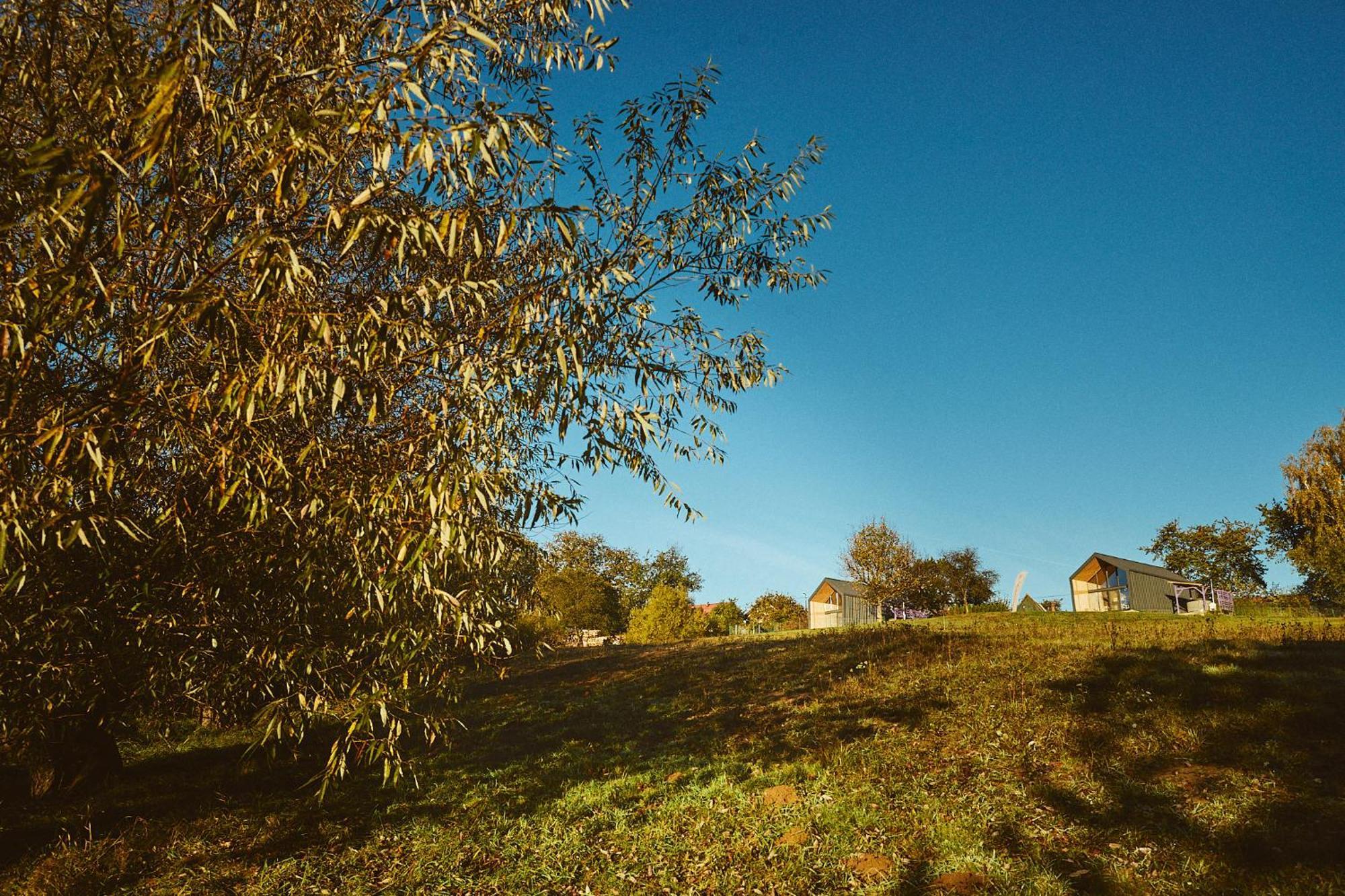 Scandinave Chalet Bran Zărneşti Buitenkant foto