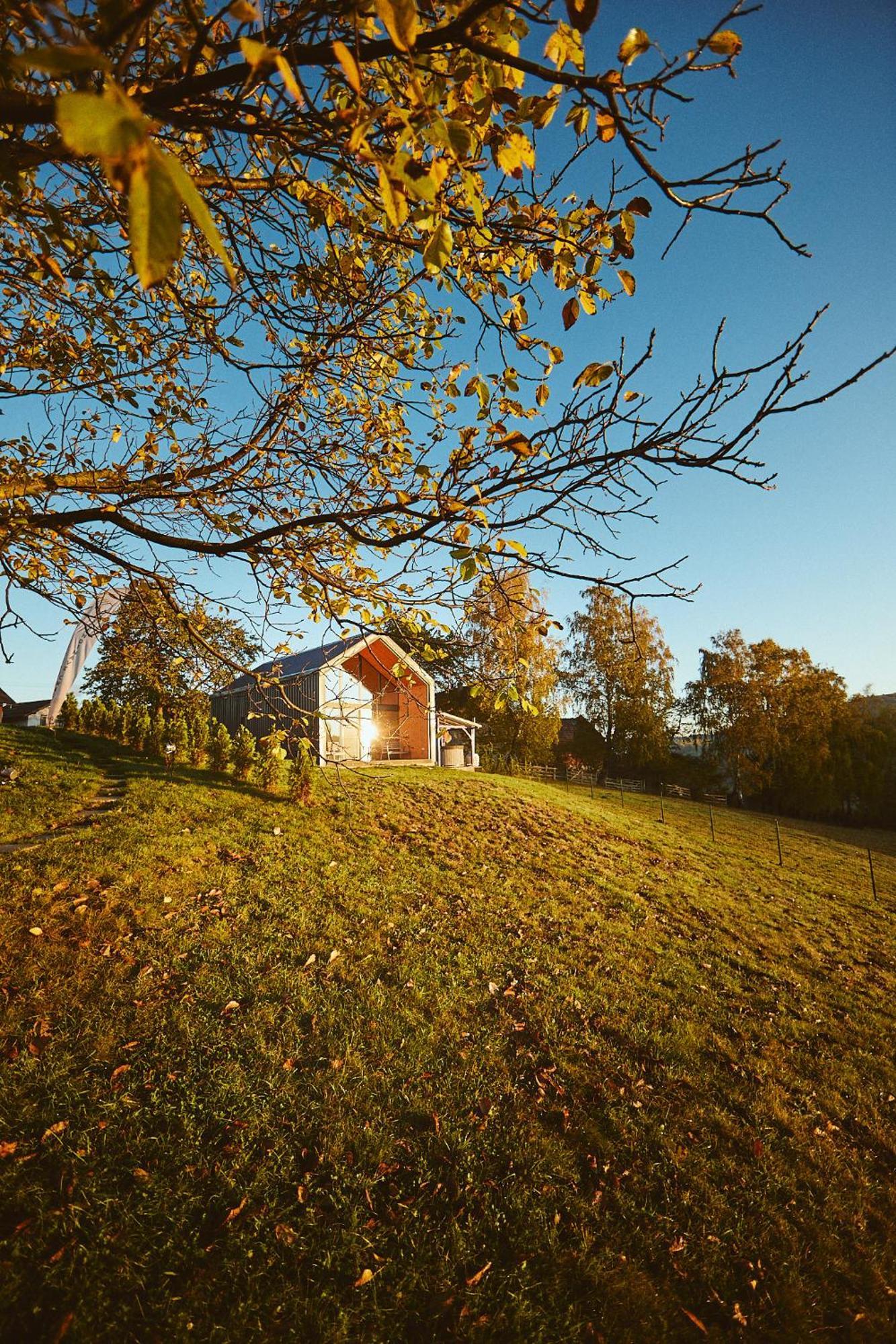 Scandinave Chalet Bran Zărneşti Buitenkant foto