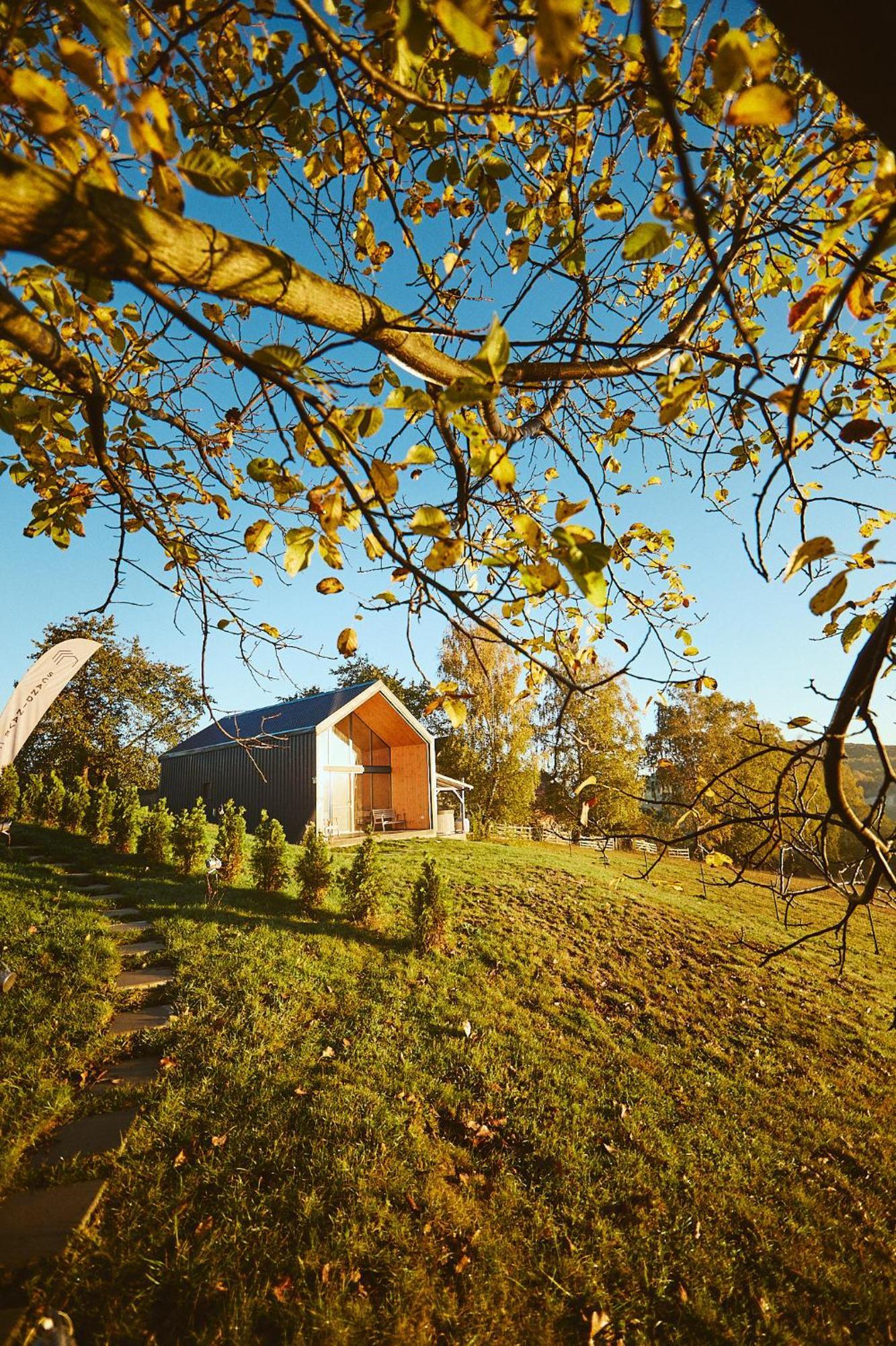 Scandinave Chalet Bran Zărneşti Buitenkant foto