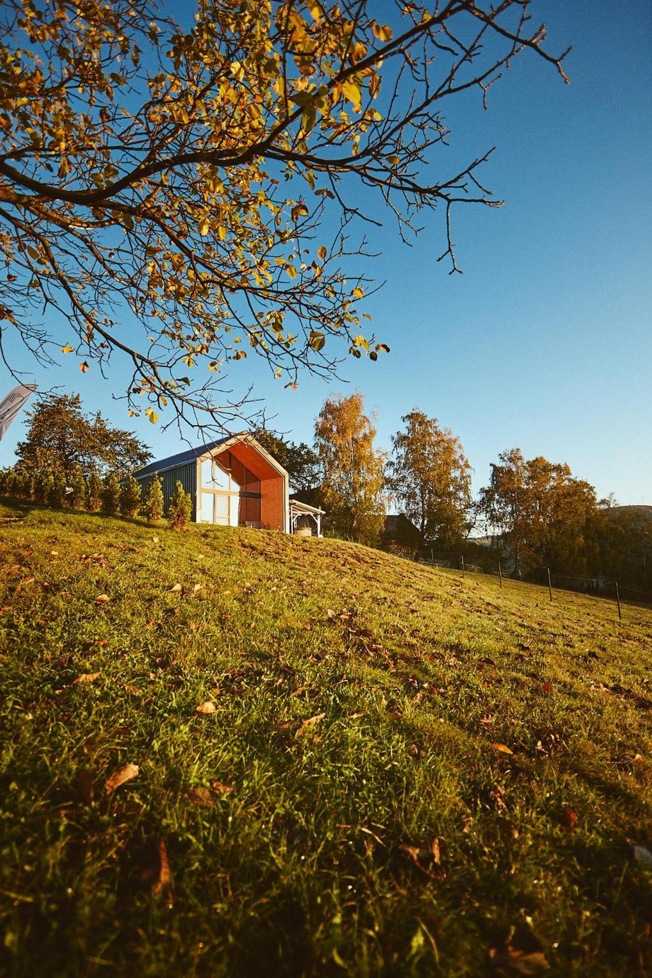 Scandinave Chalet Bran Zărneşti Buitenkant foto