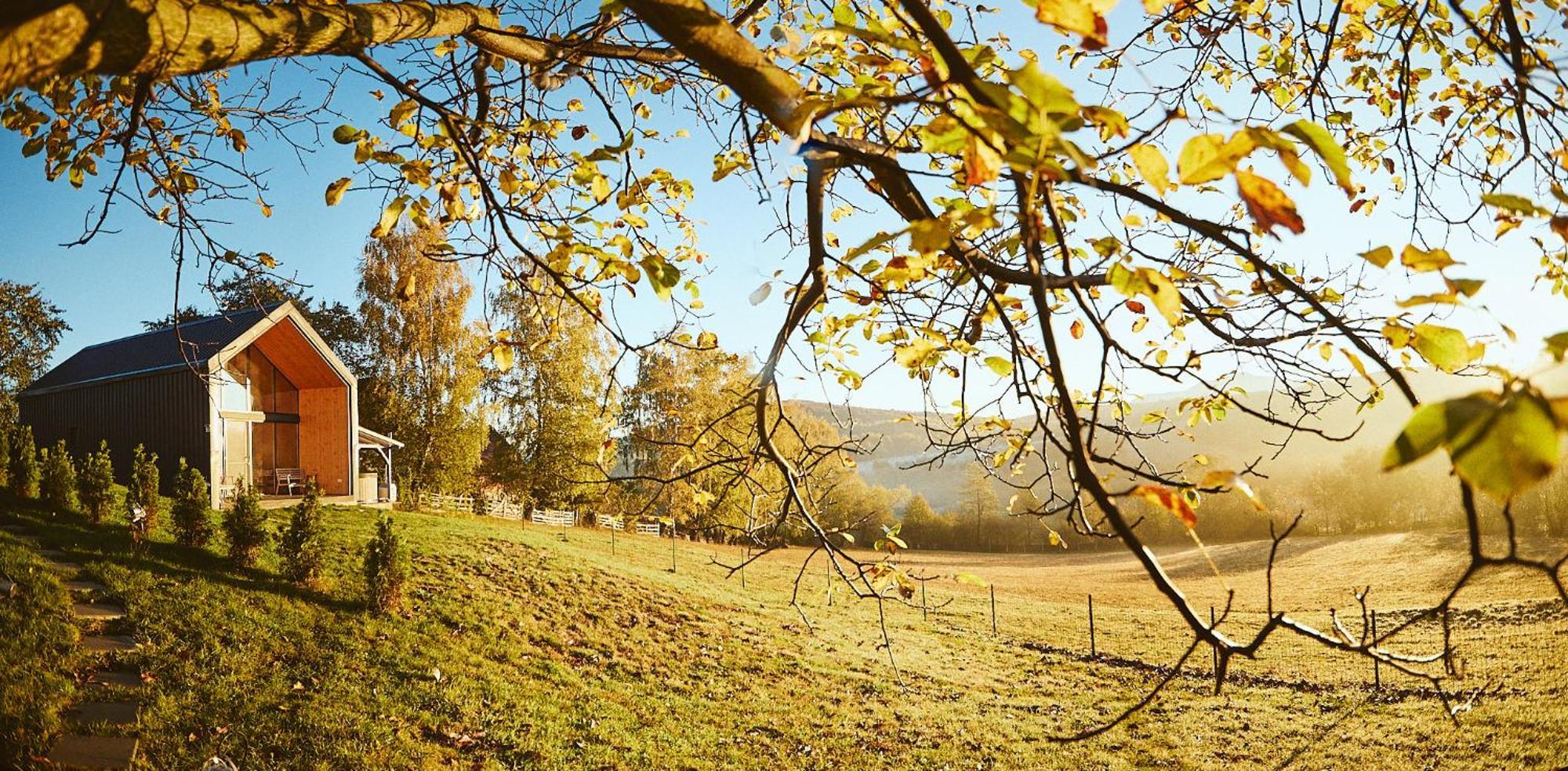 Scandinave Chalet Bran Zărneşti Buitenkant foto