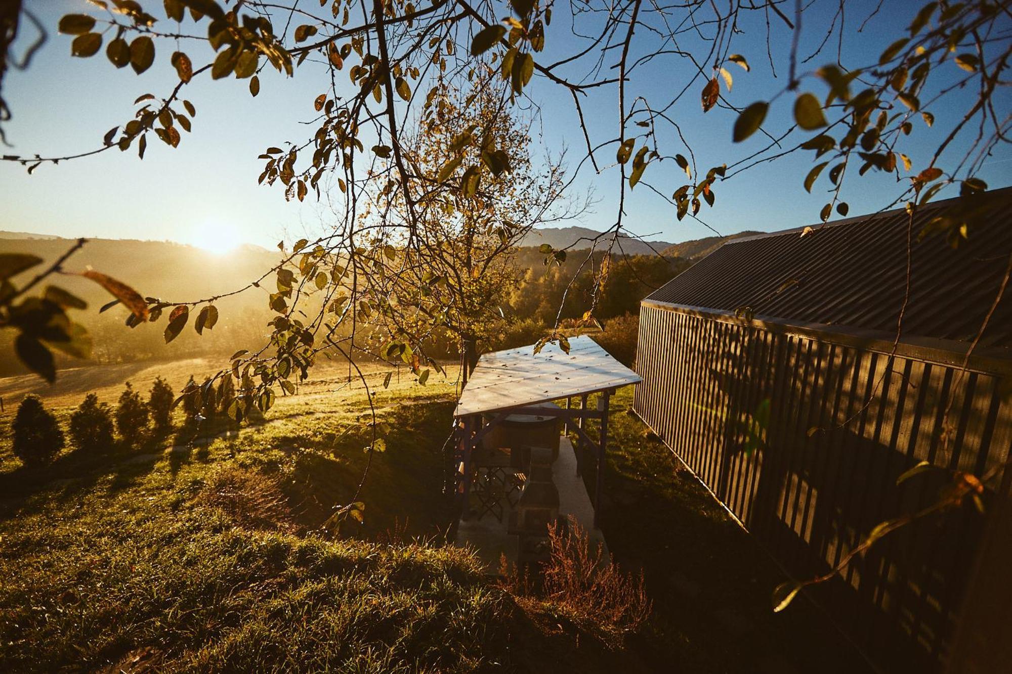 Scandinave Chalet Bran Zărneşti Buitenkant foto