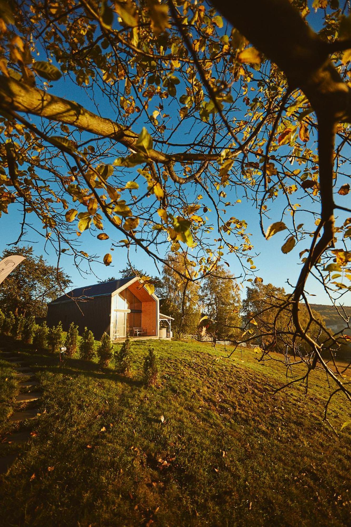 Scandinave Chalet Bran Zărneşti Buitenkant foto