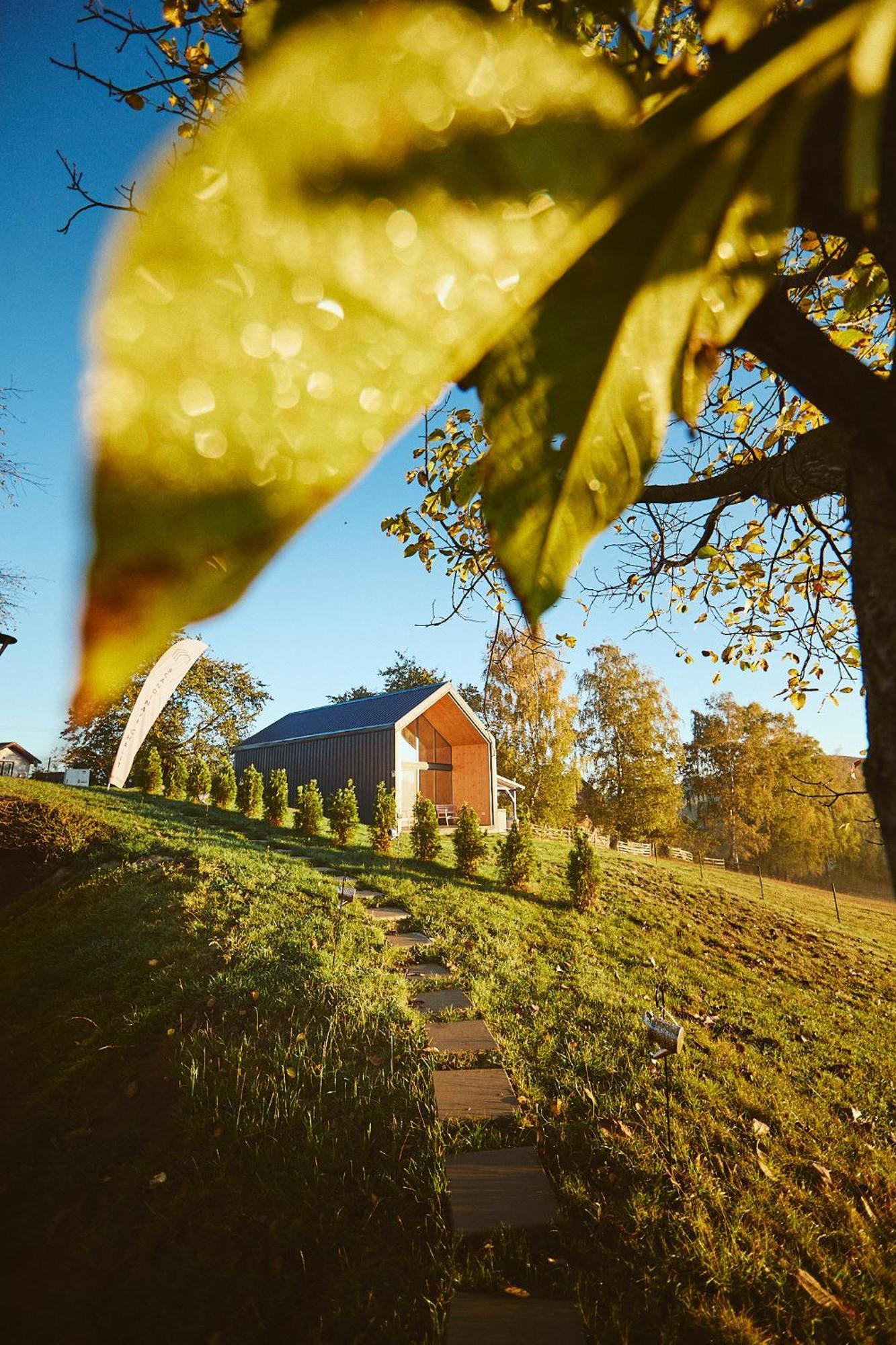 Scandinave Chalet Bran Zărneşti Buitenkant foto